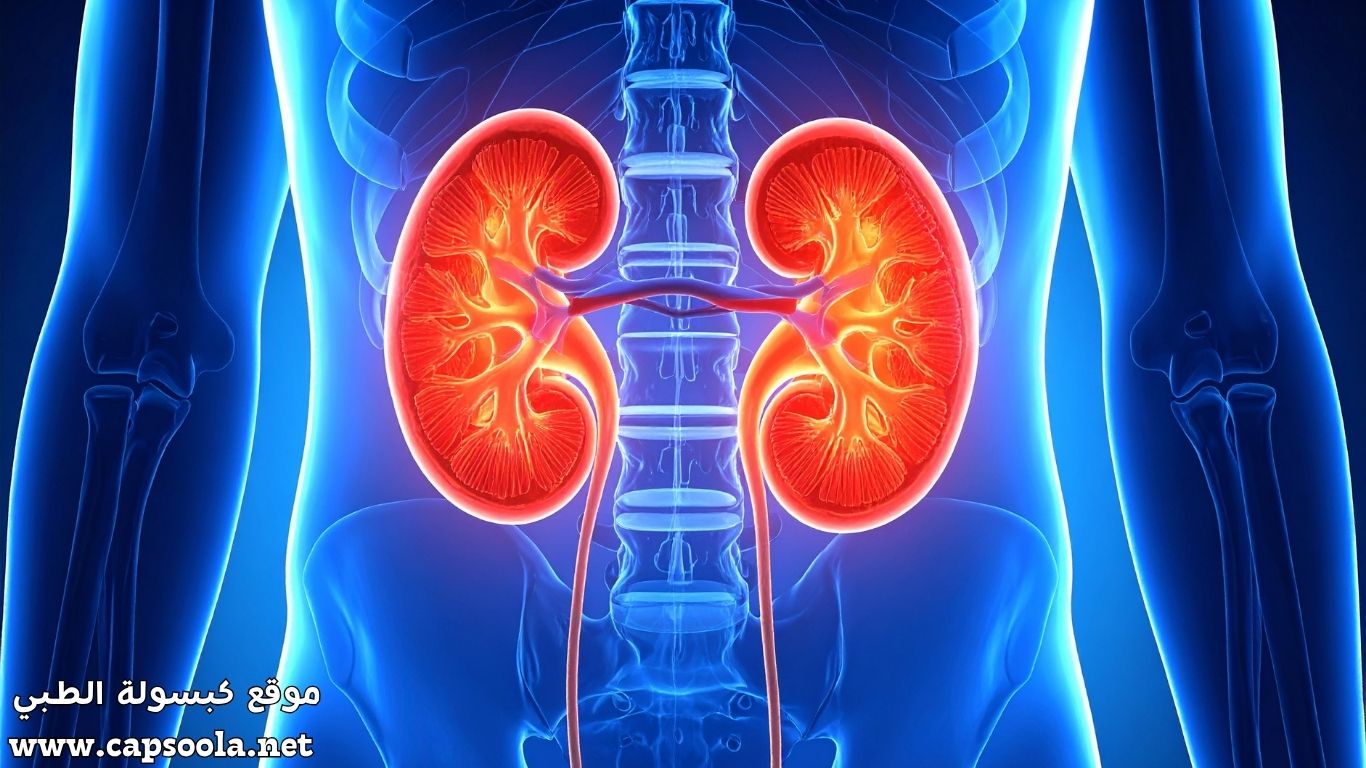 أطعمة مسموحة وممنوعة لمرضى الكلى _ النظام الغذائي لمرضى الكلى