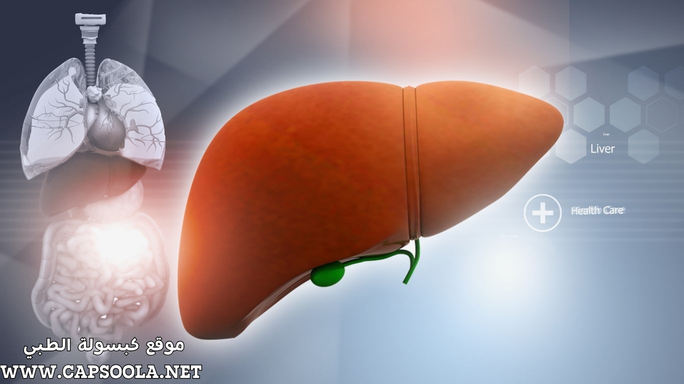 فيروس الكبد B | الأسباب، الأعراض، طرق العدوى، الوقاية، والعلاج الفعّال _ دليلك الشامل