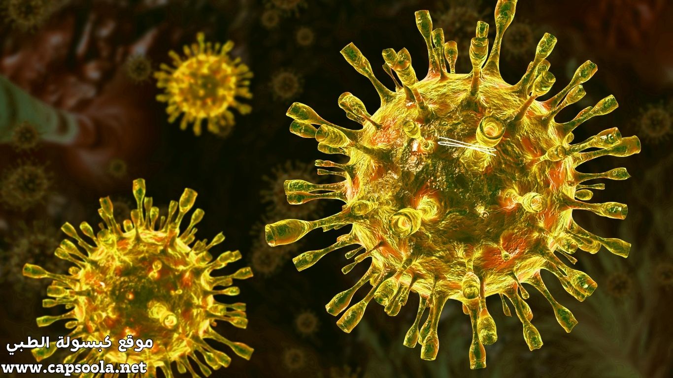 تحذير عالمي: تفشي فيروس ماربورغ في إثيوبيا — أخطر حمى نزفية في العالم تهدد بالانتشار