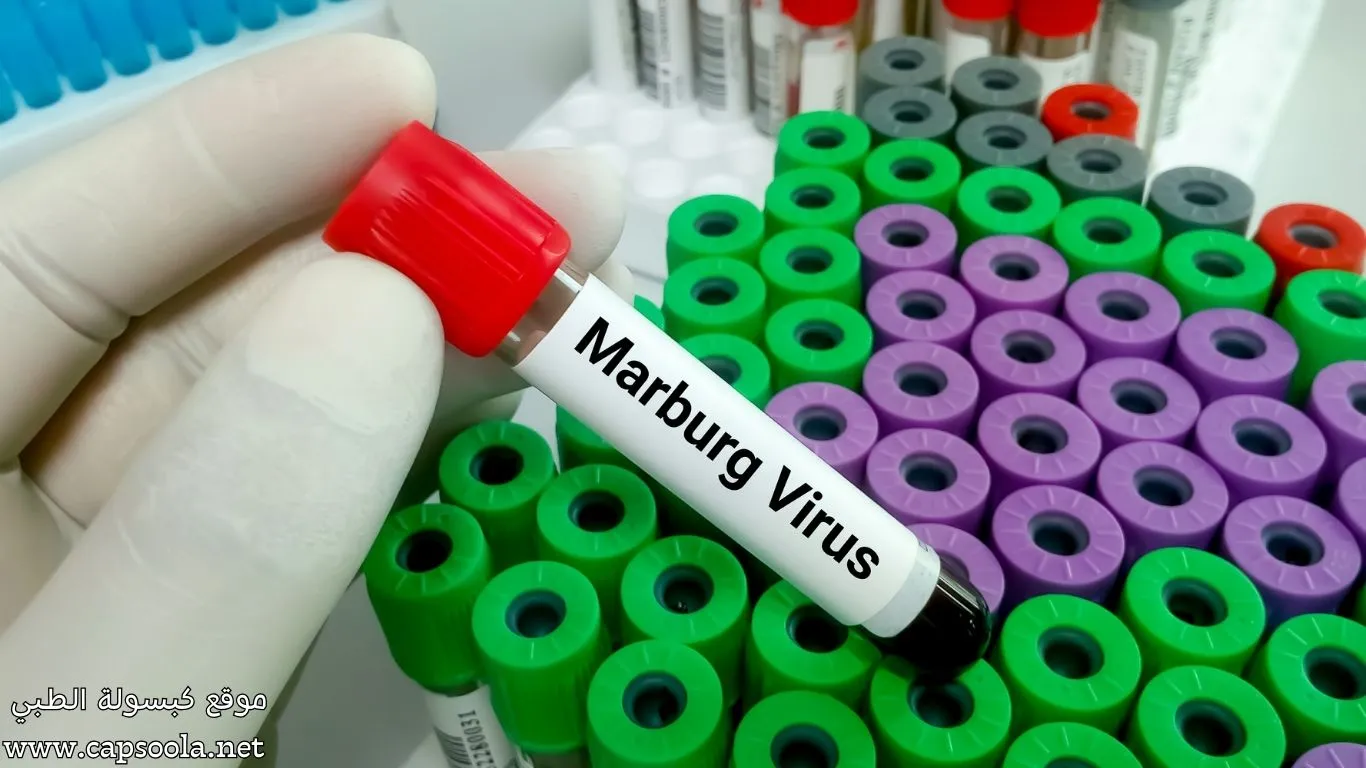 فيروس ماربورغ القاتل _ دليل الوقاية الشامل